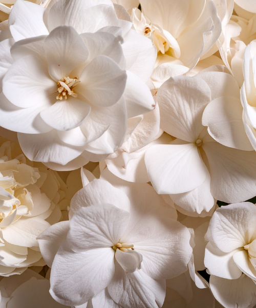 BLOSSOM VEIL